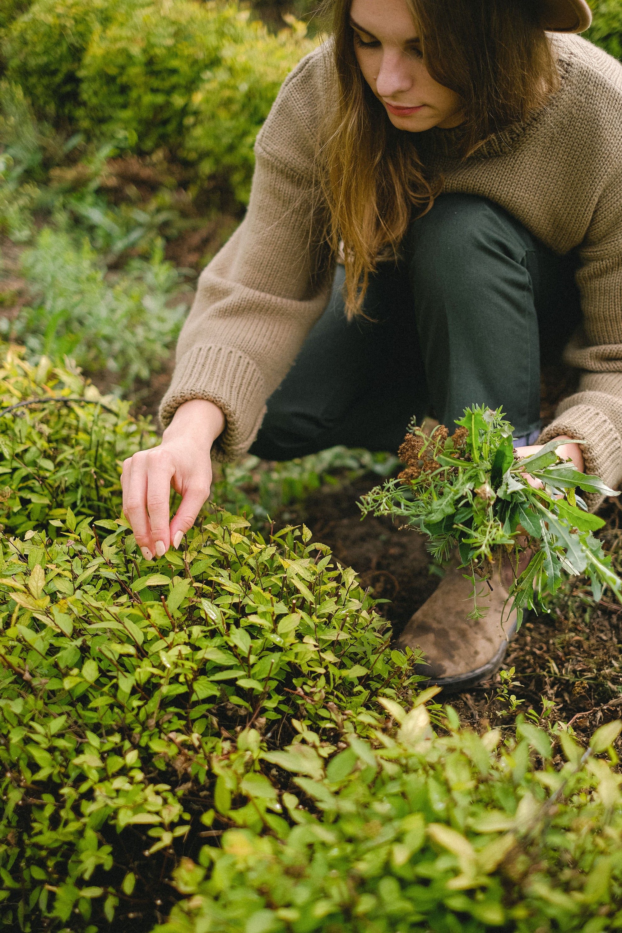 Gartenarbeit bei Hitze: sicherer planen und zwischendurch abkühlen